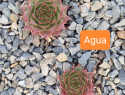 Agua.jpg